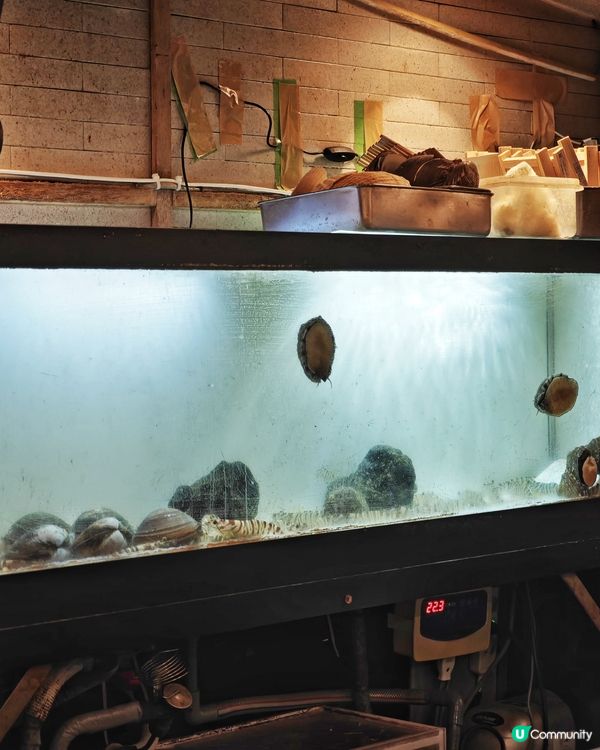 巨型🤩刺身🐟豪快🍣壽司