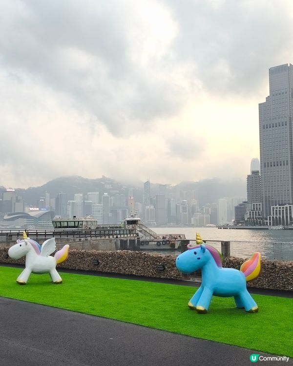 紅磡新海濱：維港全新玩樂地標