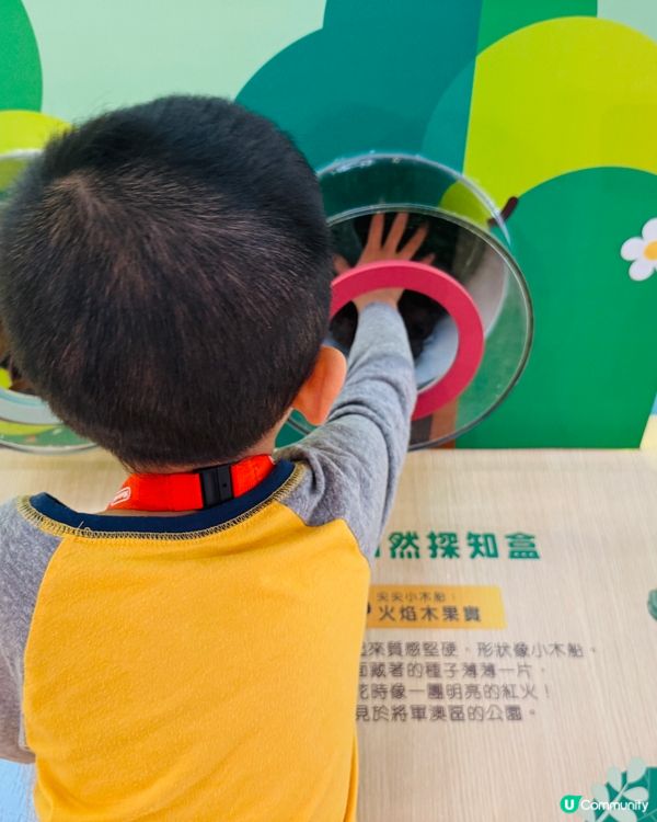 將軍澳｢小將軍森度探索基地｣:五感體驗自然生態小樂園