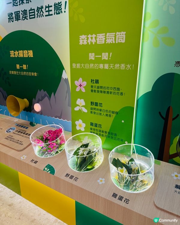 將軍澳｢小將軍森度探索基地｣:五感體驗自然生態小樂園