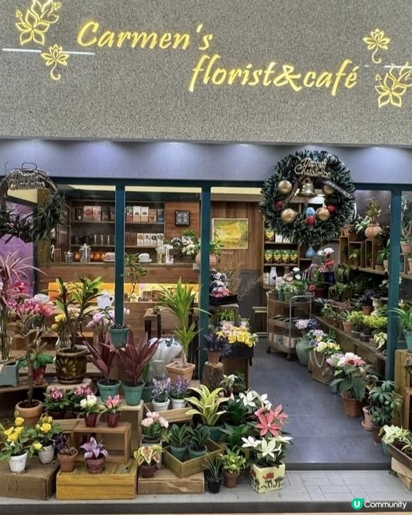 微花語港故事 🇯🇵 睇香港縮影