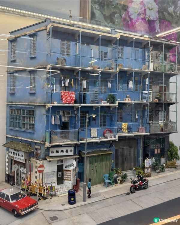 微花語港故事 🇯🇵 睇香港縮影