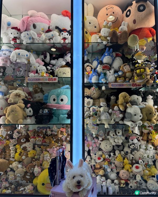 青衣城超萌打卡位🧸📸寵物可去