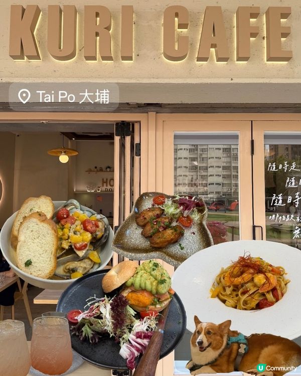 留半天與毛孩喘息｜Kuri Café