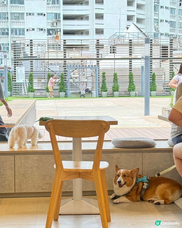 留半天與毛孩喘息｜Kuri Café