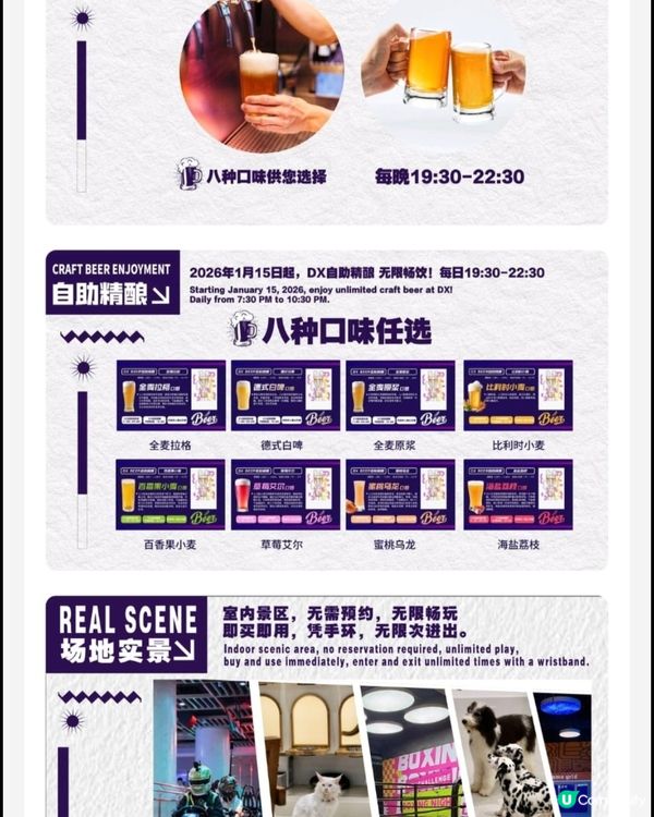 深圳任玩任食玩貓狗室內遊樂場好介紹