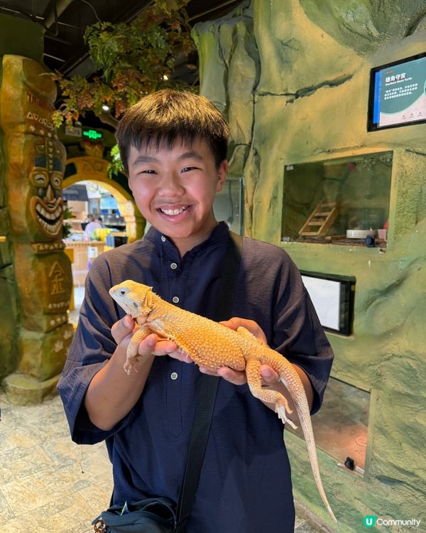 奇幻萌寵部落：探親萌寵之旅🐾🥰