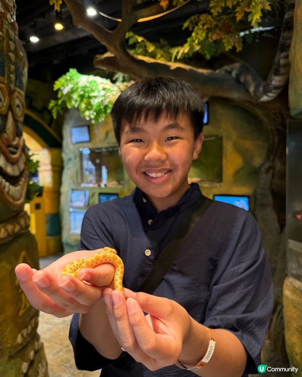 奇幻萌寵部落：探親萌寵之旅🐾🥰