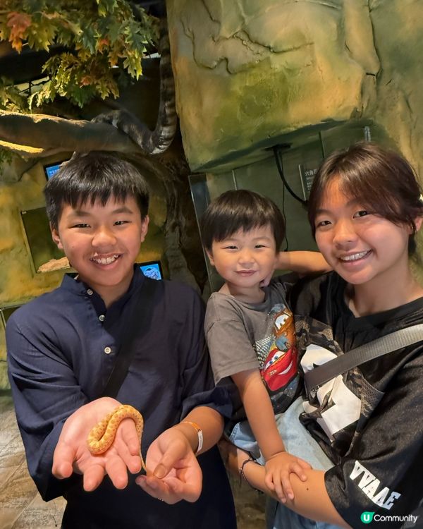 奇幻萌寵部落：探親萌寵之旅🐾🥰