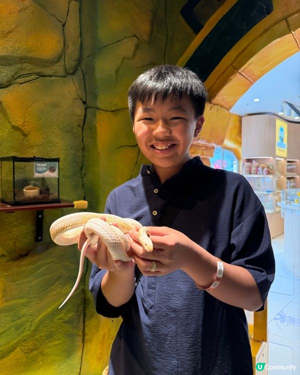 奇幻萌寵部落：探親萌寵之旅🐾🥰