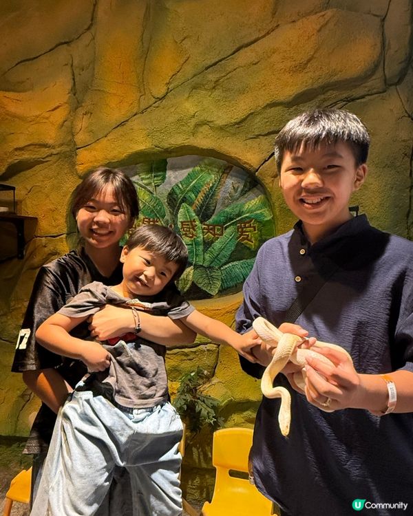 奇幻萌寵部落：探親萌寵之旅🐾🥰