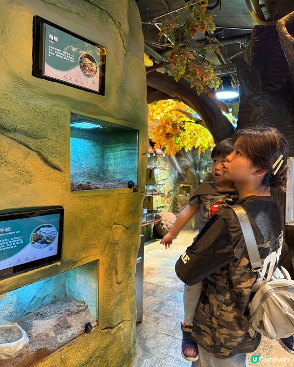 奇幻萌寵部落：探親萌寵之旅🐾🥰