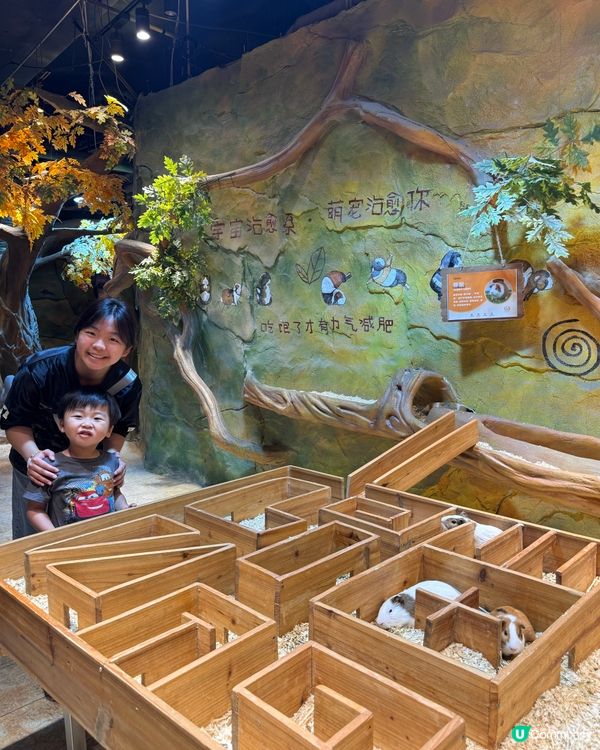 奇幻萌寵部落：探親萌寵之旅🐾🥰