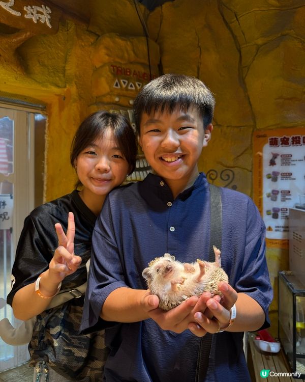 奇幻萌寵部落：探親萌寵之旅🐾🥰