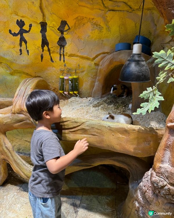 奇幻萌寵部落：探親萌寵之旅🐾🥰