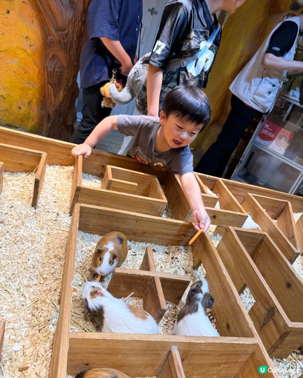奇幻萌寵部落：探親萌寵之旅🐾🥰