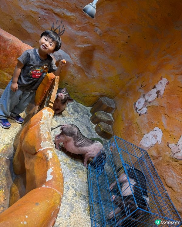 奇幻萌寵部落：探親萌寵之旅🐾🥰