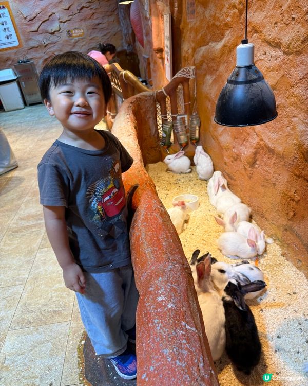 奇幻萌寵部落：探親萌寵之旅🐾🥰