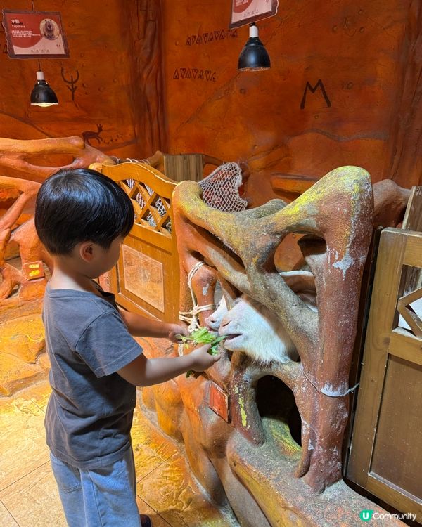 奇幻萌寵部落：探親萌寵之旅🐾🥰