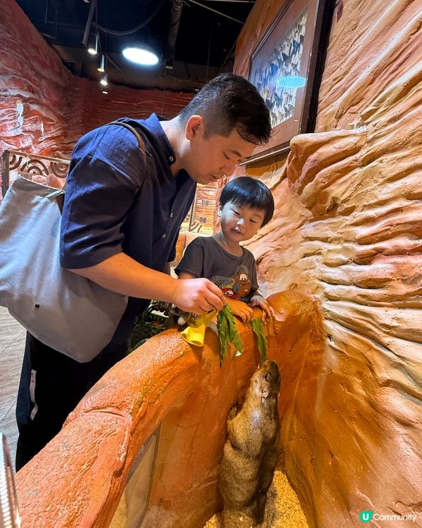 奇幻萌寵部落：探親萌寵之旅🐾🥰