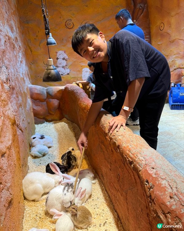 奇幻萌寵部落：探親萌寵之旅🐾🥰