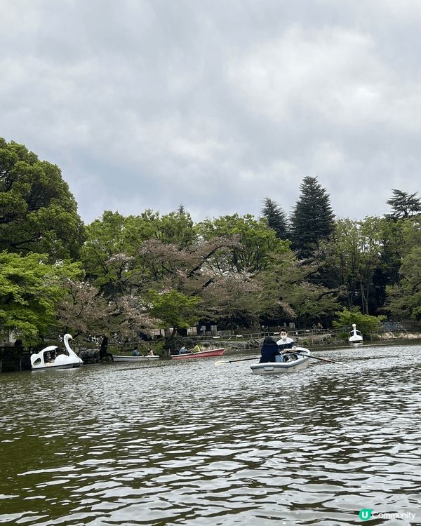 東京吉祥寺💮井之頭公園🌸