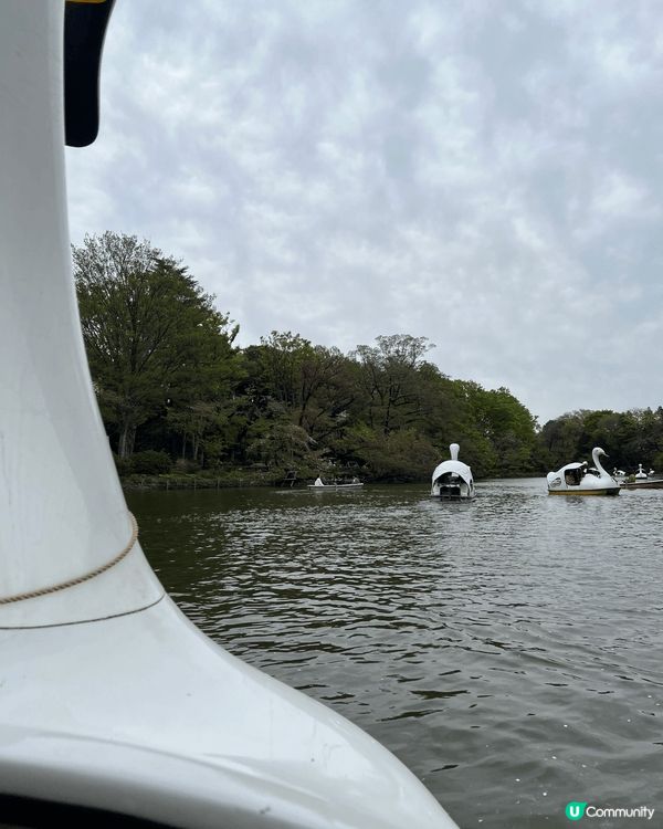東京吉祥寺💮井之頭公園🌸