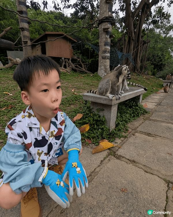 仔仔平時最鐘意去動物園，餵各種唔同既動物。次次去親都唔捨得走...