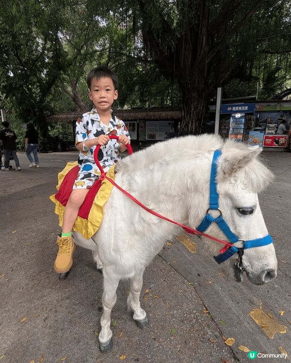 仔仔平時最鐘意去動物園，餵各種唔同既動物。次次去親都唔捨得走...
