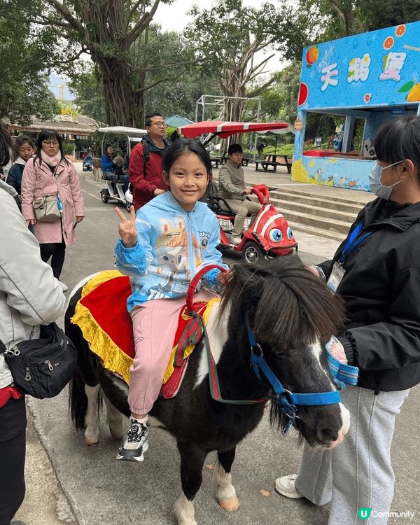 帶女兒到深圳野生動物園開心騎馬，再赴珠海staycation...