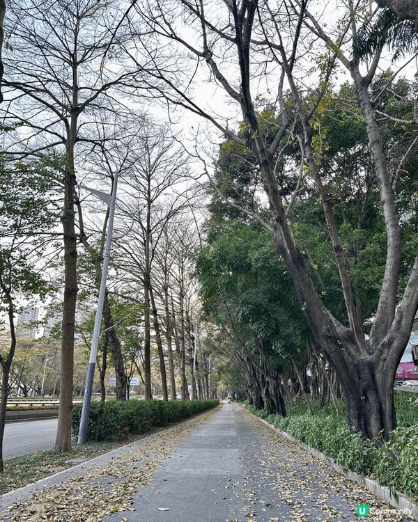呢個禮拜前同屋企人一齊返大陸，去咗行商場，好愉快行行吓又一日...
