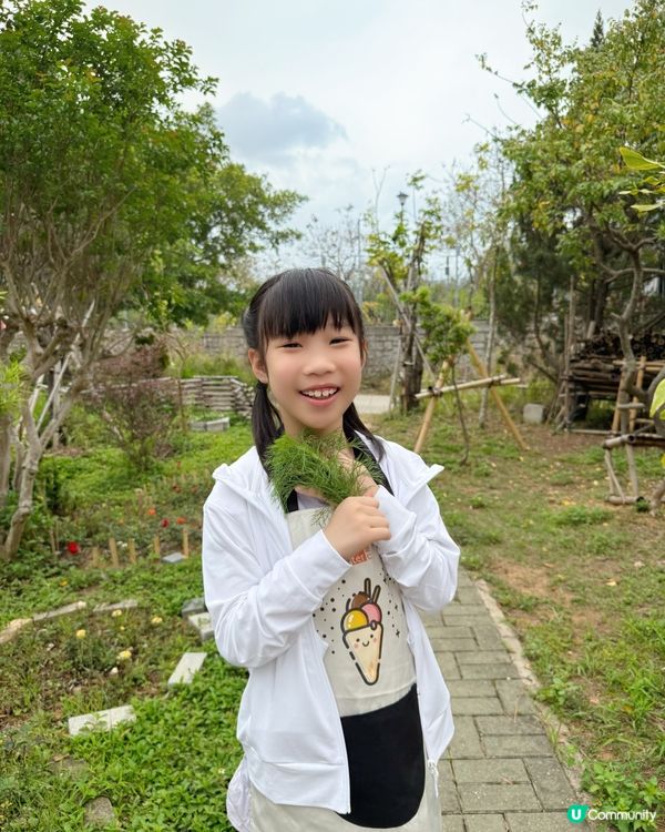 竹林歷險記🌱 竹你難忘！😋