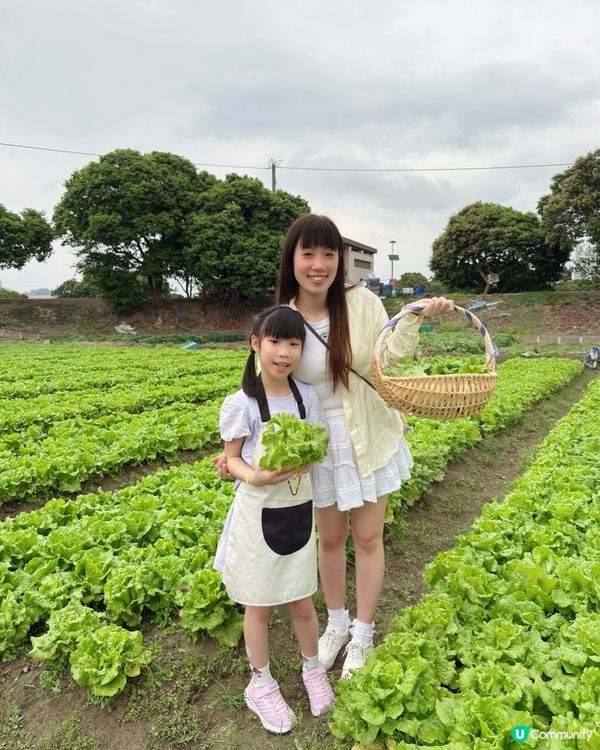 竹林歷險記🌱 竹你難忘！😋