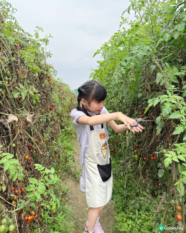 竹林歷險記🌱 竹你難忘！😋