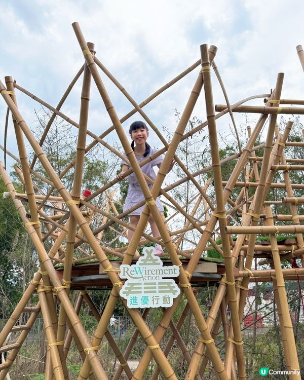 竹林歷險記🌱 竹你難忘！😋