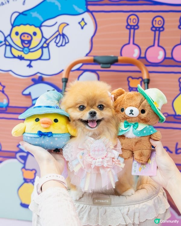 魔法小熊登陸！🐻✨😍