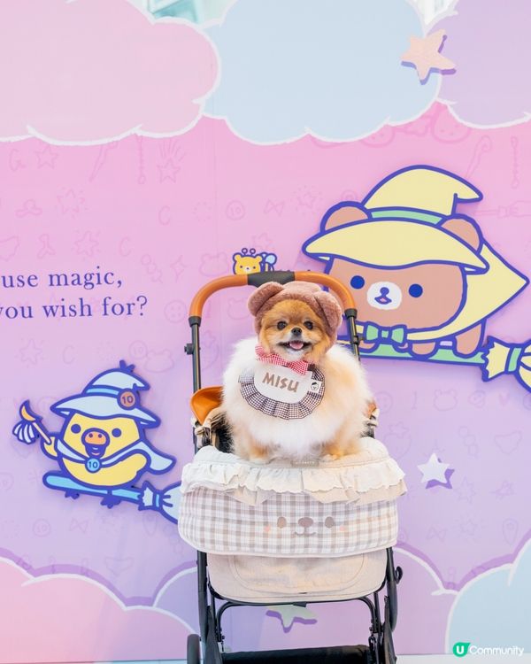 魔法小熊登陸！🐻✨😍