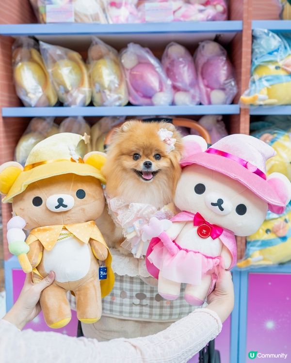 魔法小熊登陸！🐻✨😍