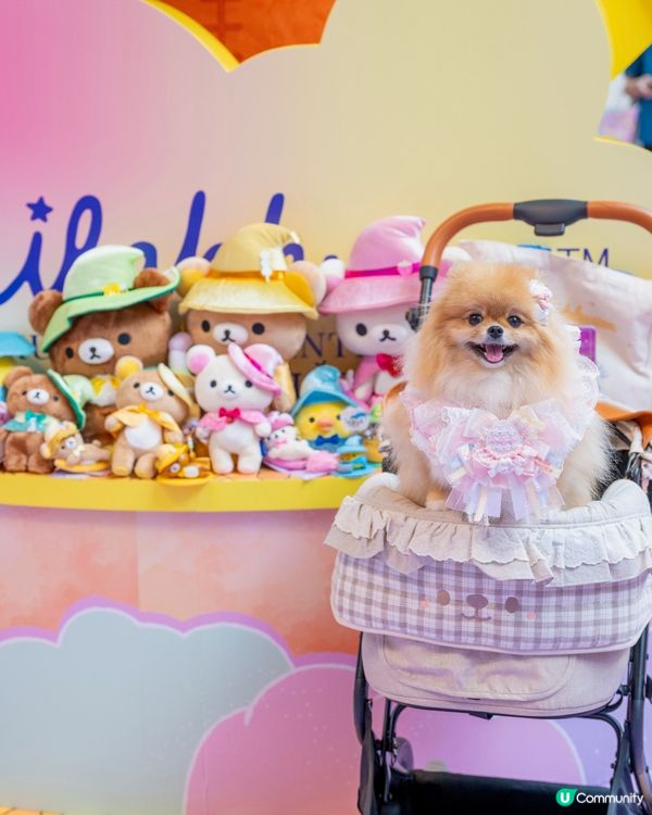 魔法小熊登陸！🐻✨😍