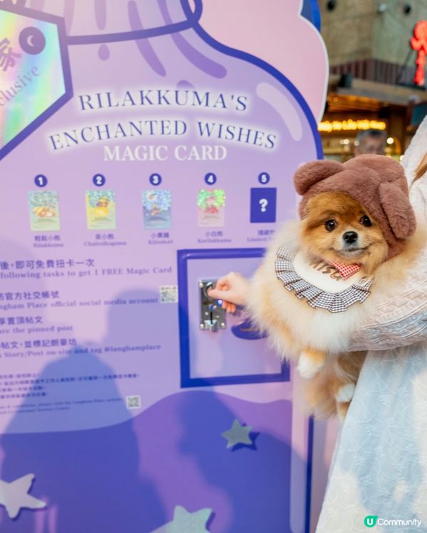 魔法小熊登陸！🐻✨😍