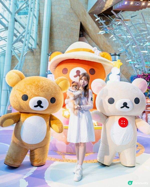 魔法小熊登陸！🐻✨😍