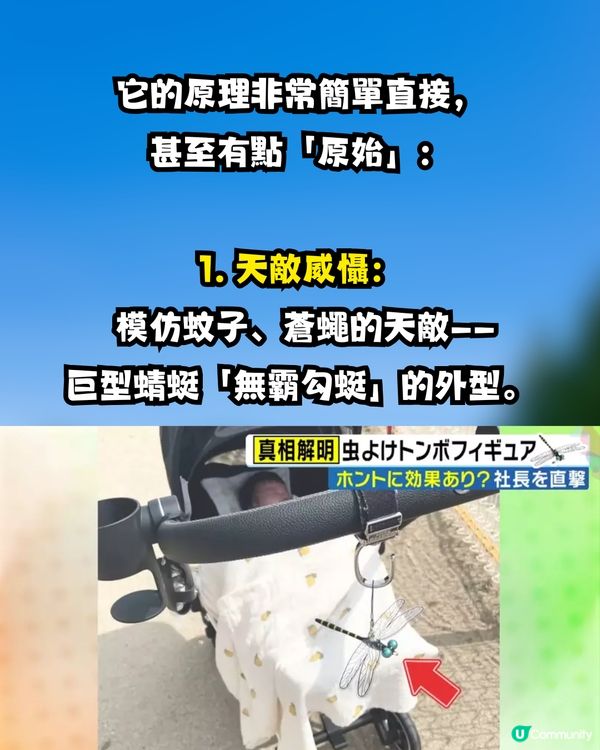 【神物定係智商稅？】日本驅蟲神器「稻草蜻蜓」爆紅！港女實測拜山、放狗一粒蚊爛都無？