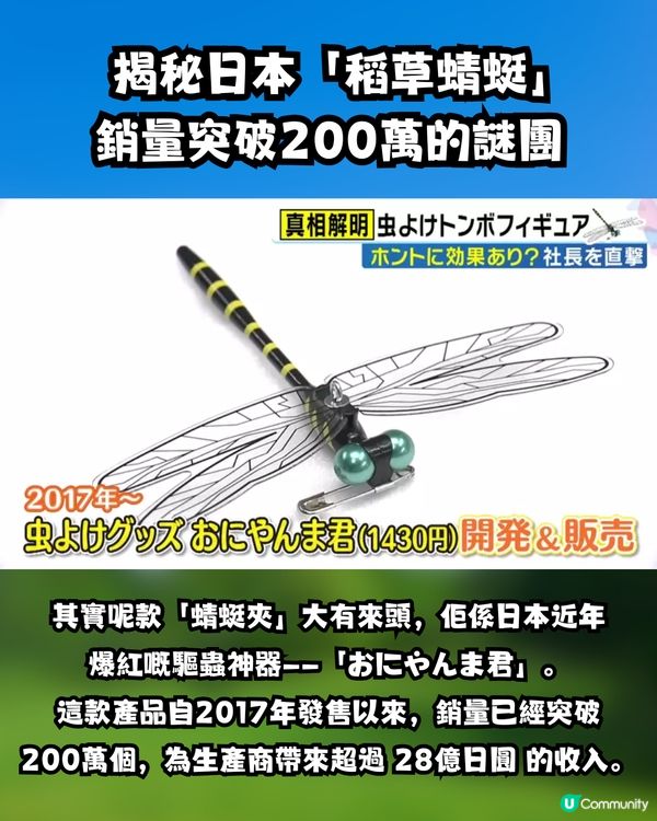 【神物定係智商稅？】日本驅蟲神器「稻草蜻蜓」爆紅！港女實測拜山、放狗一粒蚊爛都無？