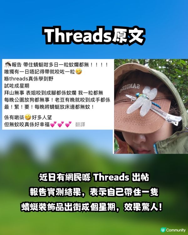 【神物定係智商稅？】日本驅蟲神器「稻草蜻蜓」爆紅！港女實測拜山、放狗一粒蚊爛都無？