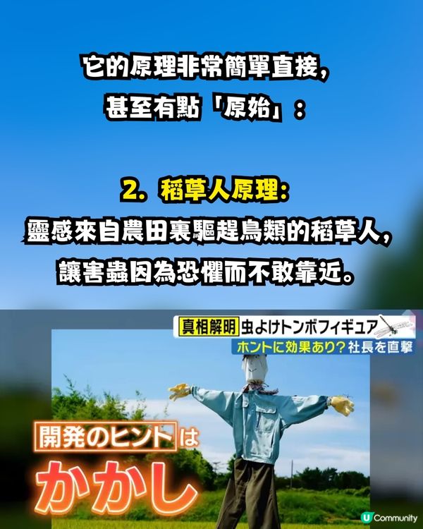 【神物定係智商稅？】日本驅蟲神器「稻草蜻蜓」爆紅！港女實測拜山、放狗一粒蚊爛都無？