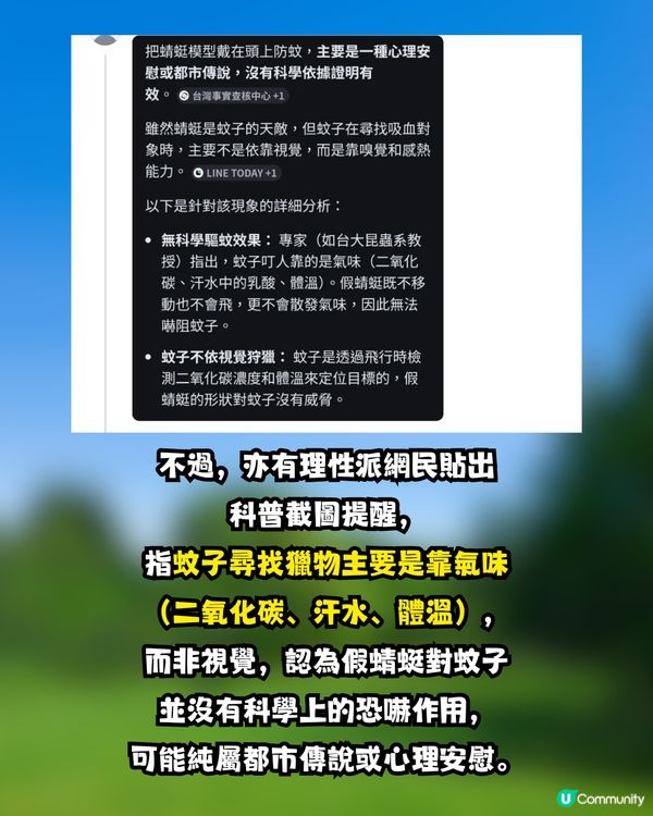 【神物定係智商稅？】日本驅蟲神器「稻草蜻蜓」爆紅！港女實測拜山、放狗一粒蚊爛都無？
