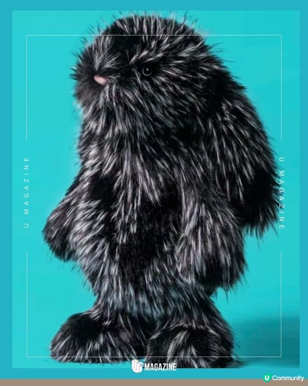 Jellycat 「黑白漸層兔」帥氣登場！聯乘英國百貨公司Selfridges限定                                    