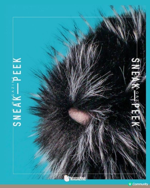 Jellycat 「黑白漸層兔」帥氣登場！聯乘英國百貨公司Selfridges限定                                    
