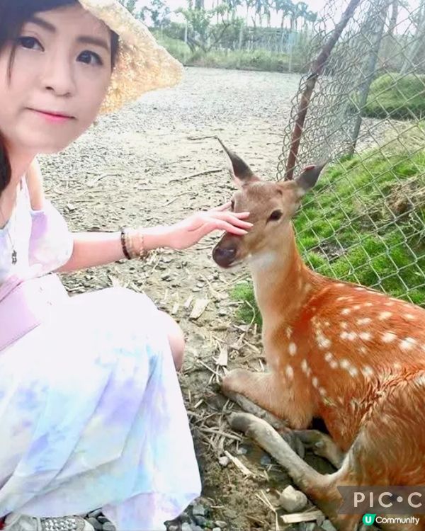 墾丁鹿境梅花鹿生態園區

