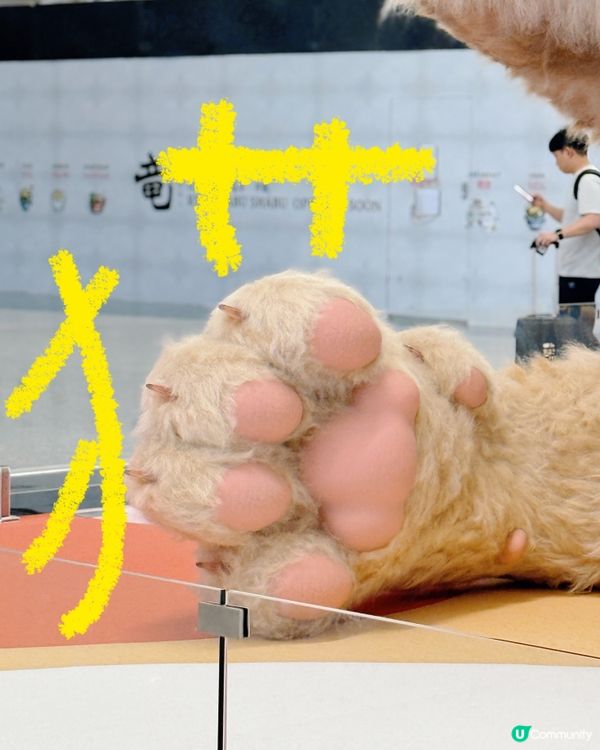 【喵!機場復活節限定巨貓來襲🐱✈️】  